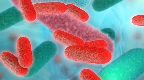 Can Gut Bacteria Unlocking Rheumatoid Arthritis? - El Paso Chiropractor