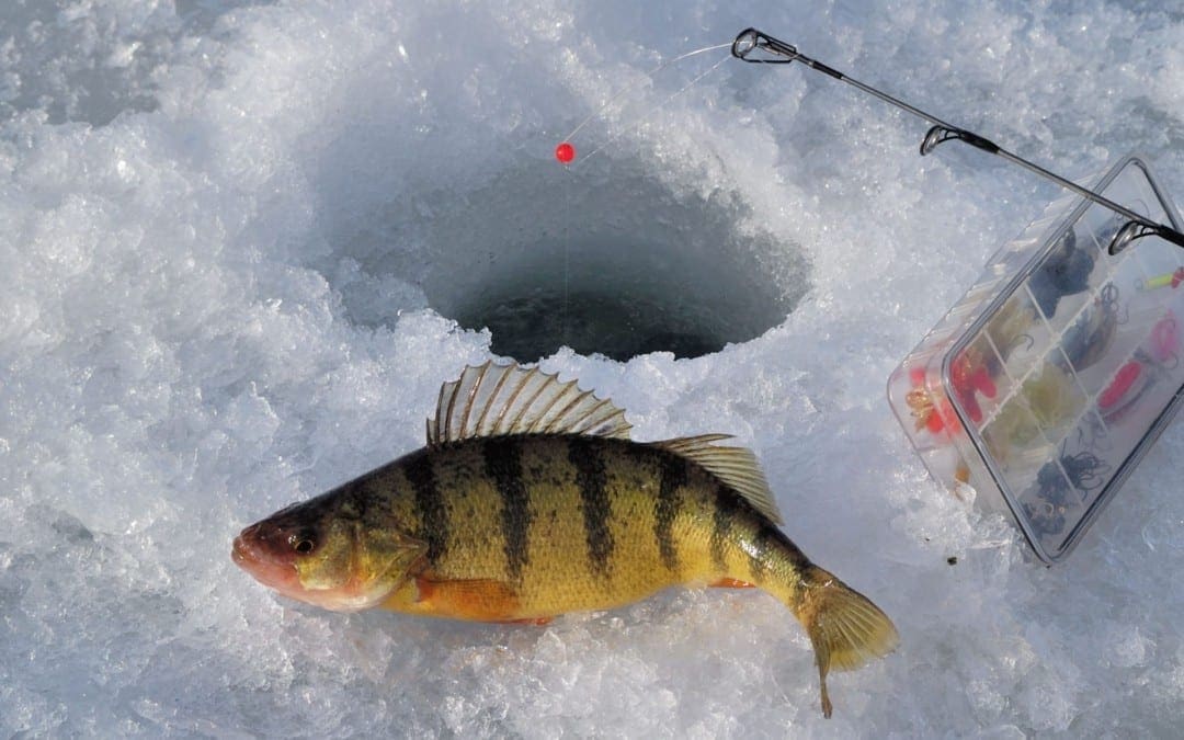 Ice Fishing Reports More Severe Types of Injuries