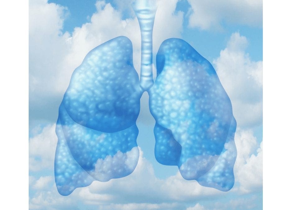 האמת על איכות אוויר פנימית ובריאות - כירופרקטור אל פאסו