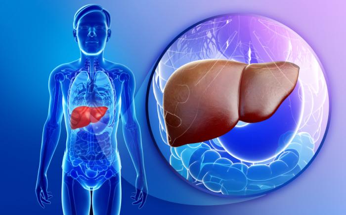 Researchers Predict Widespread Fatty Liver Disease - El Paso Chiropractor