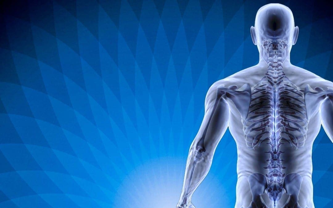 Skutočný dôvod bolesti: Ako je chrbtica spojená s vnútornými orgánmi!