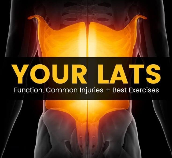 Latissimus Dorsi: Exercises & Stretches For Your �Lats�