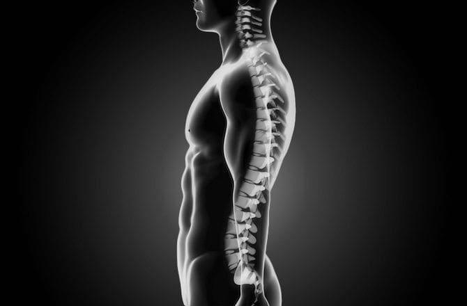 Come il trattamento chiropratico aiuta la postura