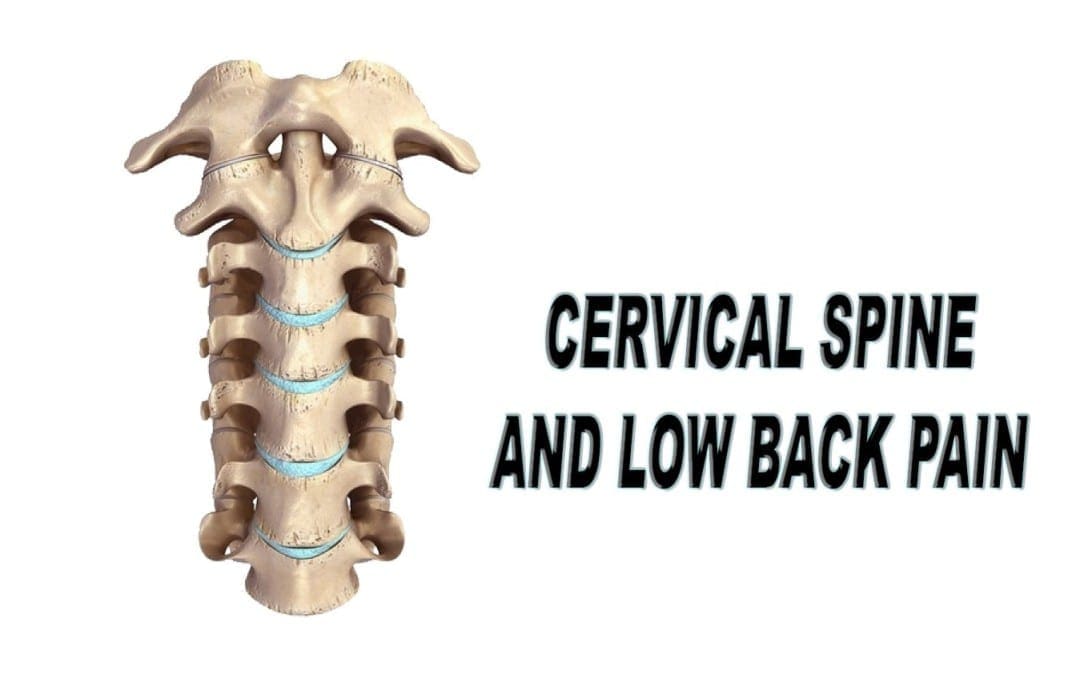 Colonna vertebrale cervicale e lombalgia