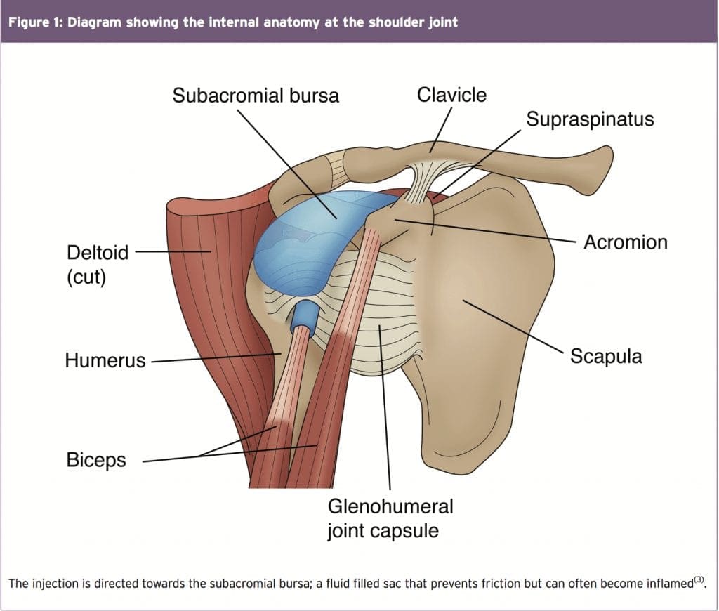 fig-1-13-1024x870.png