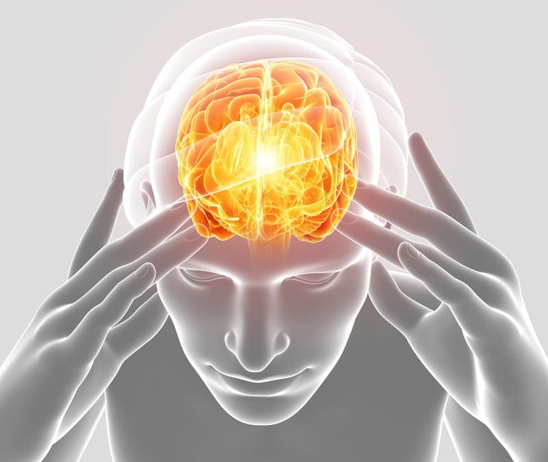 headache-model-human-brain-pain-el-paso-tx.jpg