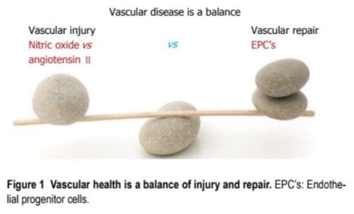 Vascular Disease Balance