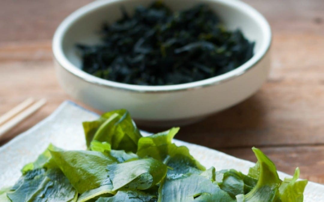 Benefit of Seaweed for Heart Health | Wellness Clinic