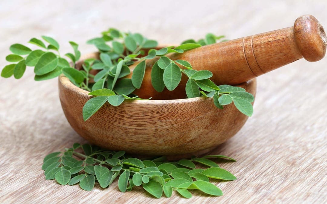 Moringa- Prevent Cancer, Diabetes, Cure Asthma, Boost Energy & Potent Natural Antibiotic