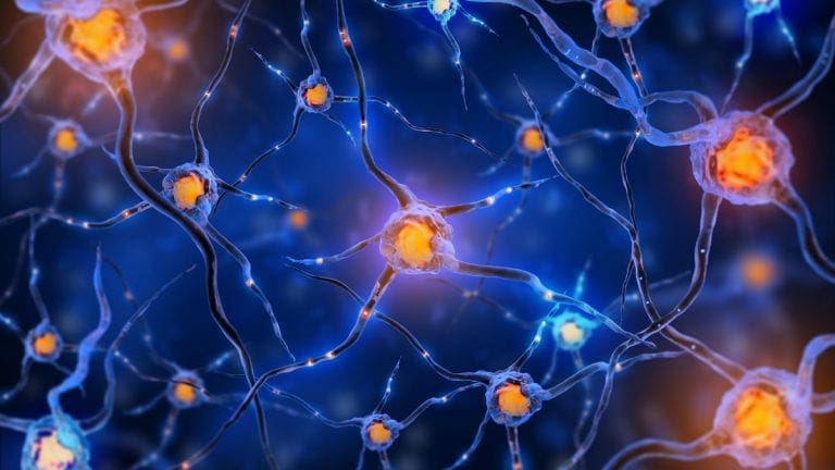 Connessioni neuronali e Ipotesi di chemioaffinità