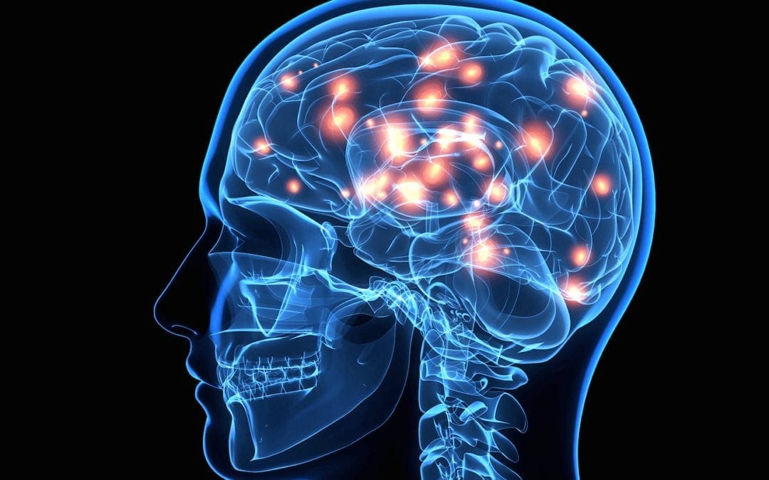 Struktur og funktion af Cranial Nerves i El Paso, TX