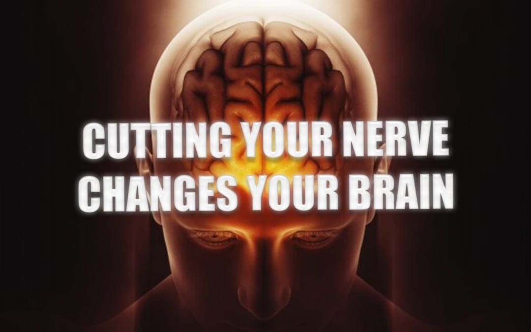 Cutting Your Nerve Changes Your Brain | El Paso, TX.