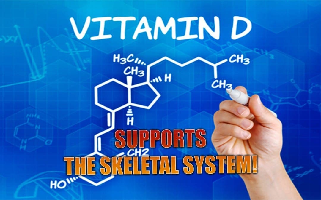 D-vitamin understøtter skeletsystemet | El Paso, TX.