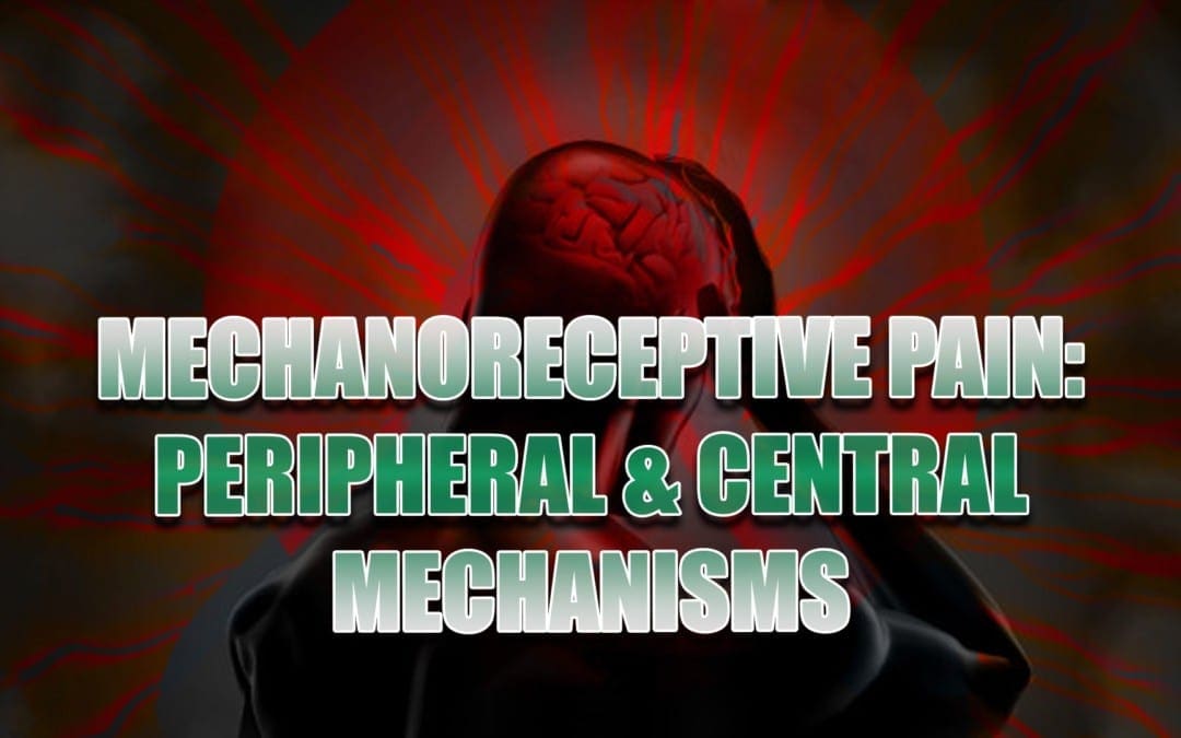 MechanoReceptive Pain: meccanismi periferici e centrali