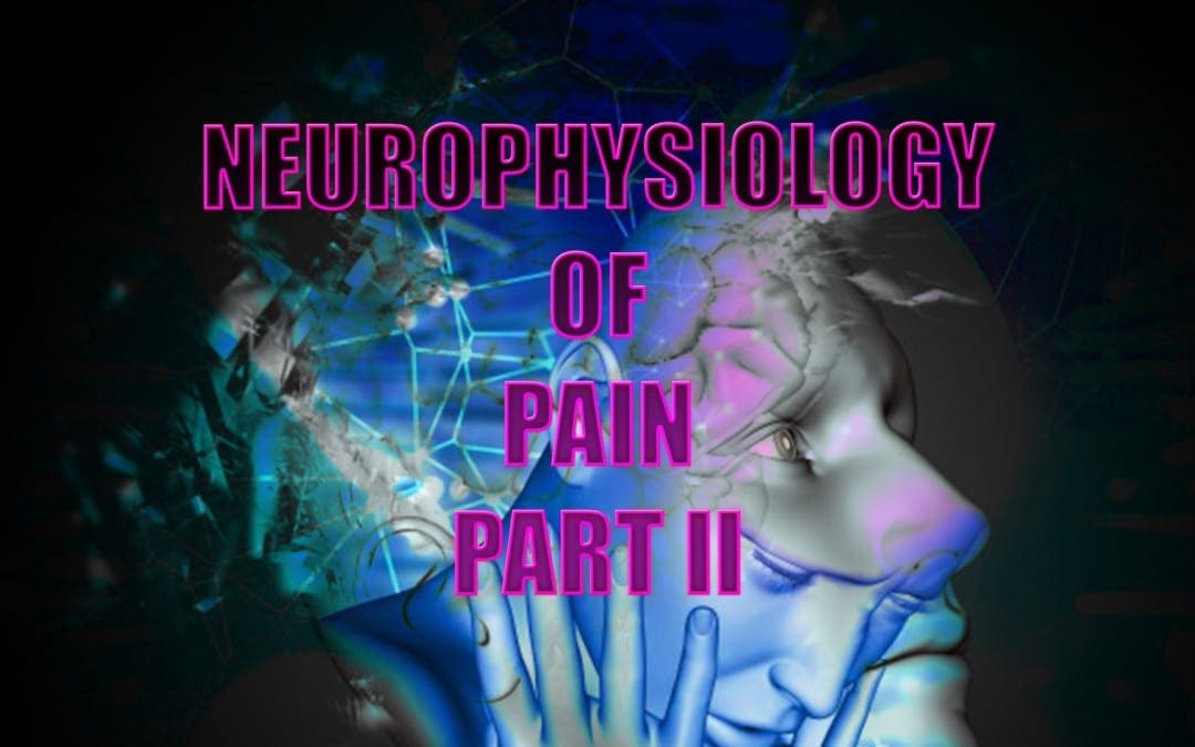 Neurophysiology Of Pain | El Paso, TX. | Part II