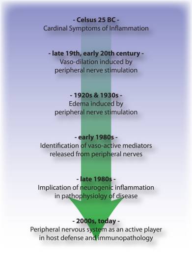 Figure 3 Timeline of Advances in Neurogenic Inflammation | El Paso, TX Chiropractor
