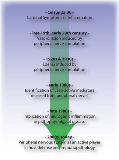 Figura 3 Cronologia dei progressi nell'infiammazione neurogena | Chiropratico di El Paso, TX