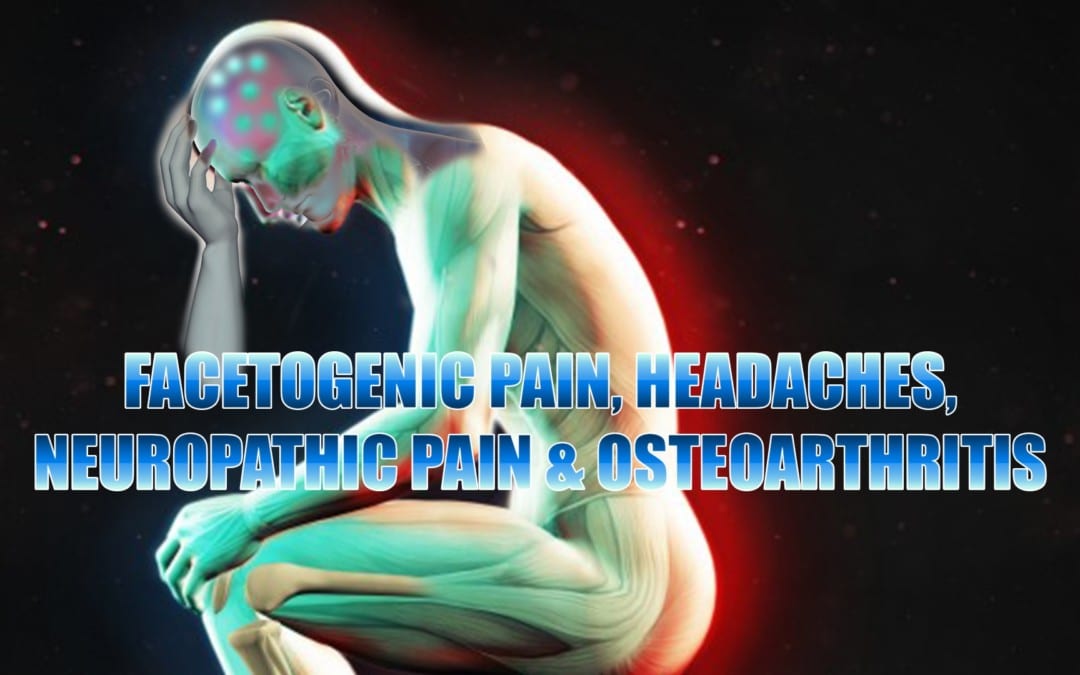 Facetogenic Pain, Headaches, Neuropathic Pain And Osteoarthritis