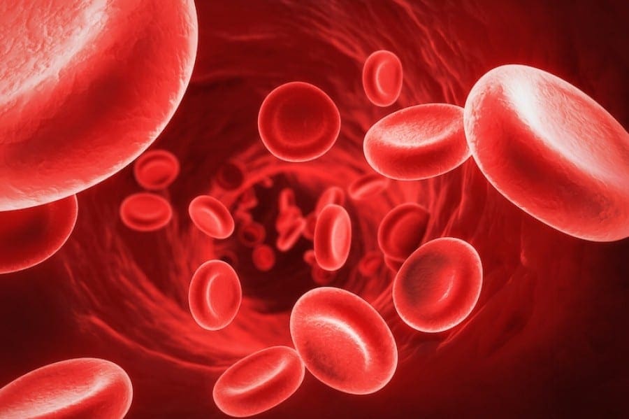 Maintaining Healthy Blood Sugar Levels