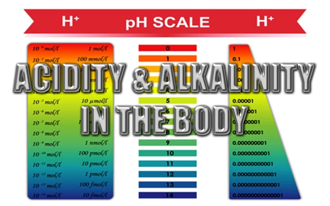 Acidità e alcalinità nel corpo