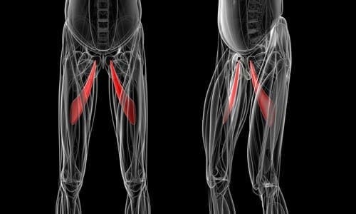 Athletic Pubalgia Mechanism of Injury