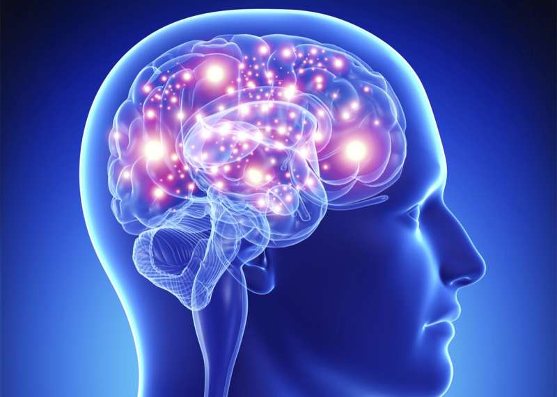 Memahami Nrf2 dan Dampaknya pada Penyakit Neurodegeneratif