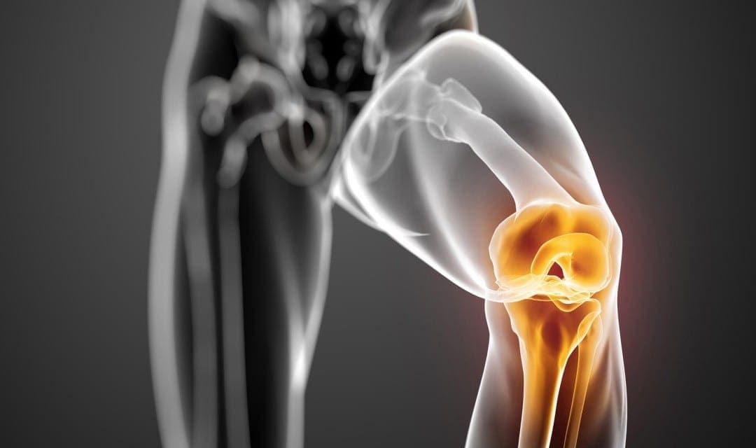 Основна наука про структуру, склад і функцію менісків колінного суглоба людини