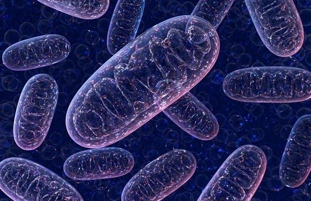 Multi-Dimensional Roles of Ketone Bodies