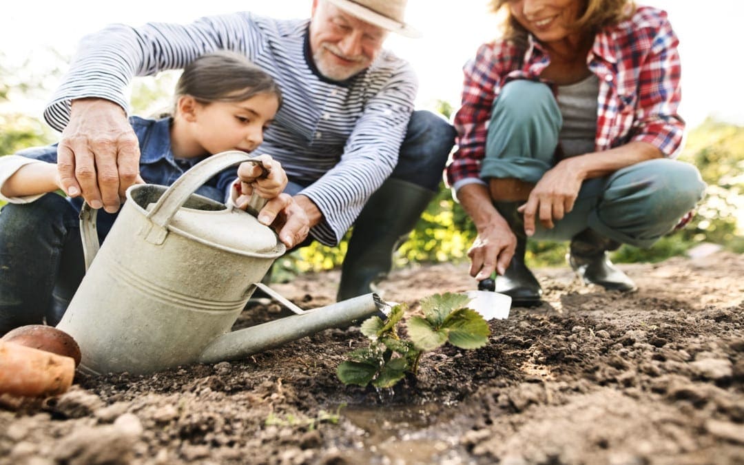 3 Tips That Will Save Your Back While Gardening | El Paso, Tx.