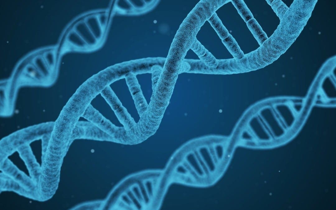 Biochémia metylácie DNA | El Paso, TX chiropraktik