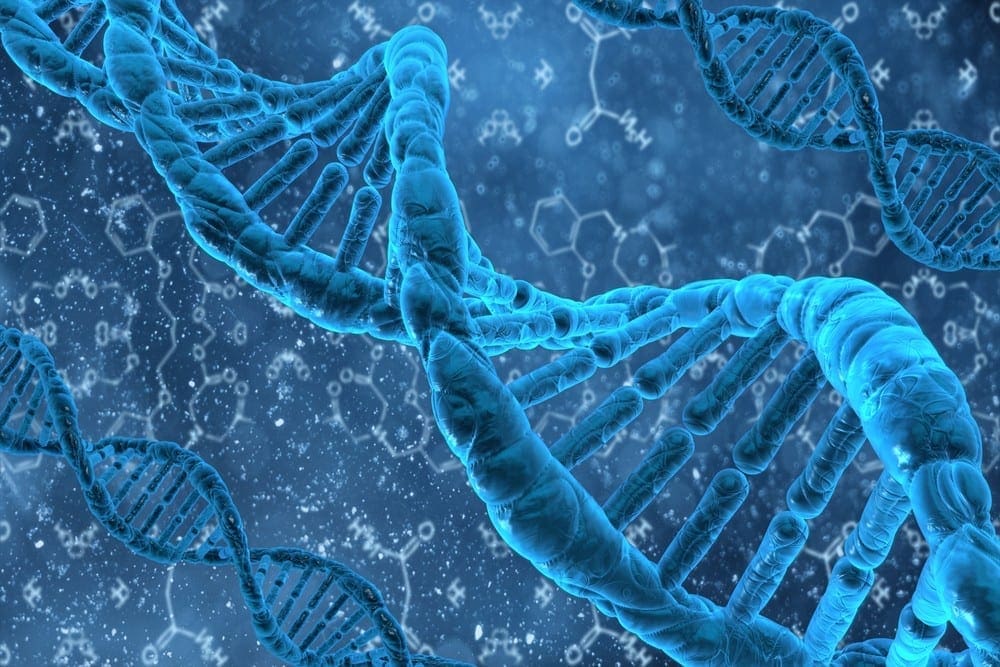 Plasticità di metilazione del DNA