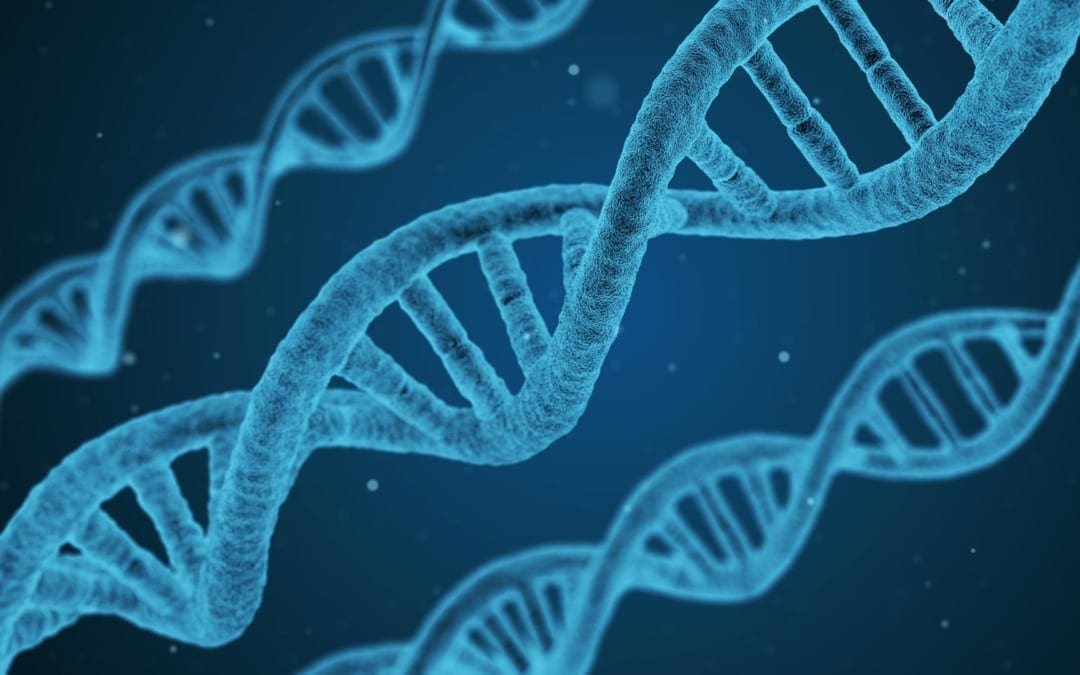 The Importance Of Methylation Support