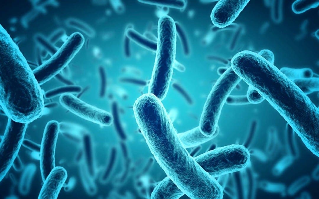 Il ruolo del microbioma nella metilazione del DNA | Chiropratico di El Paso, TX