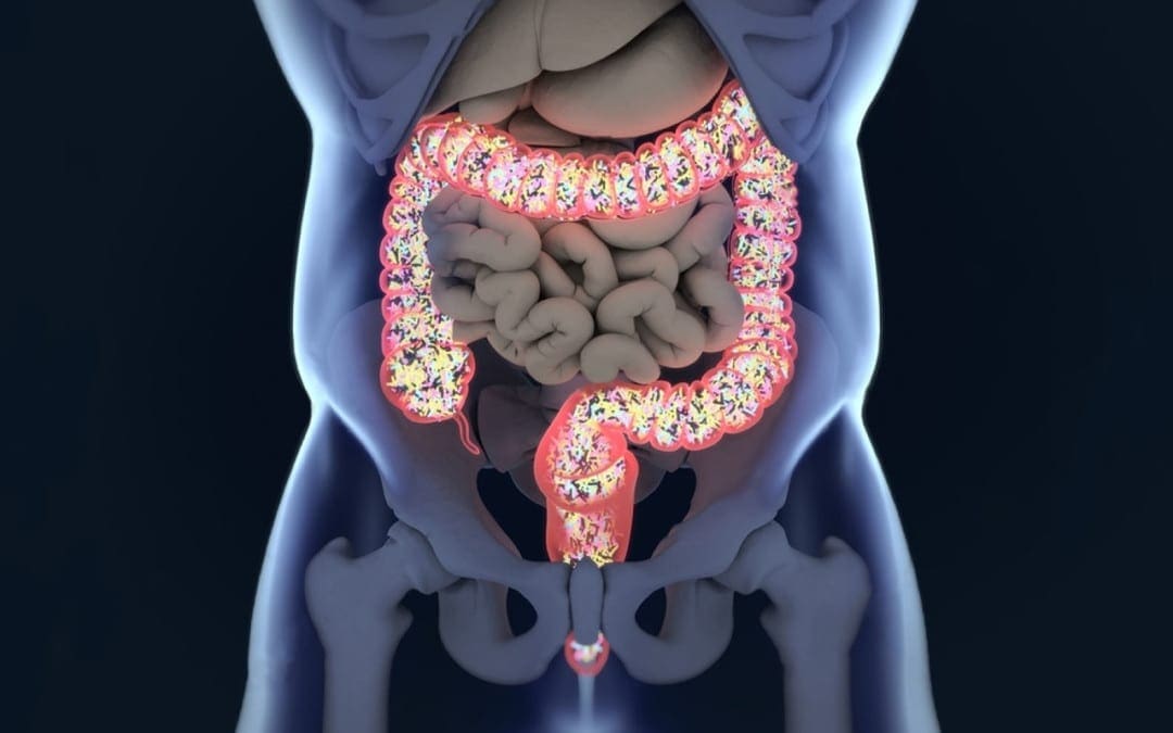 The Role of the Microbiome on the Intestinal Permeability El Paso, Texas