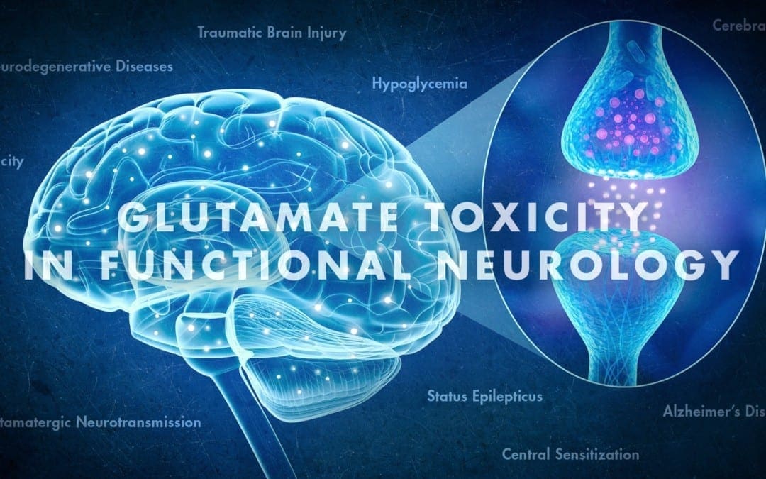 Tossicità da glutammato in neurologia funzionale | Chiropratico El Paso, TX