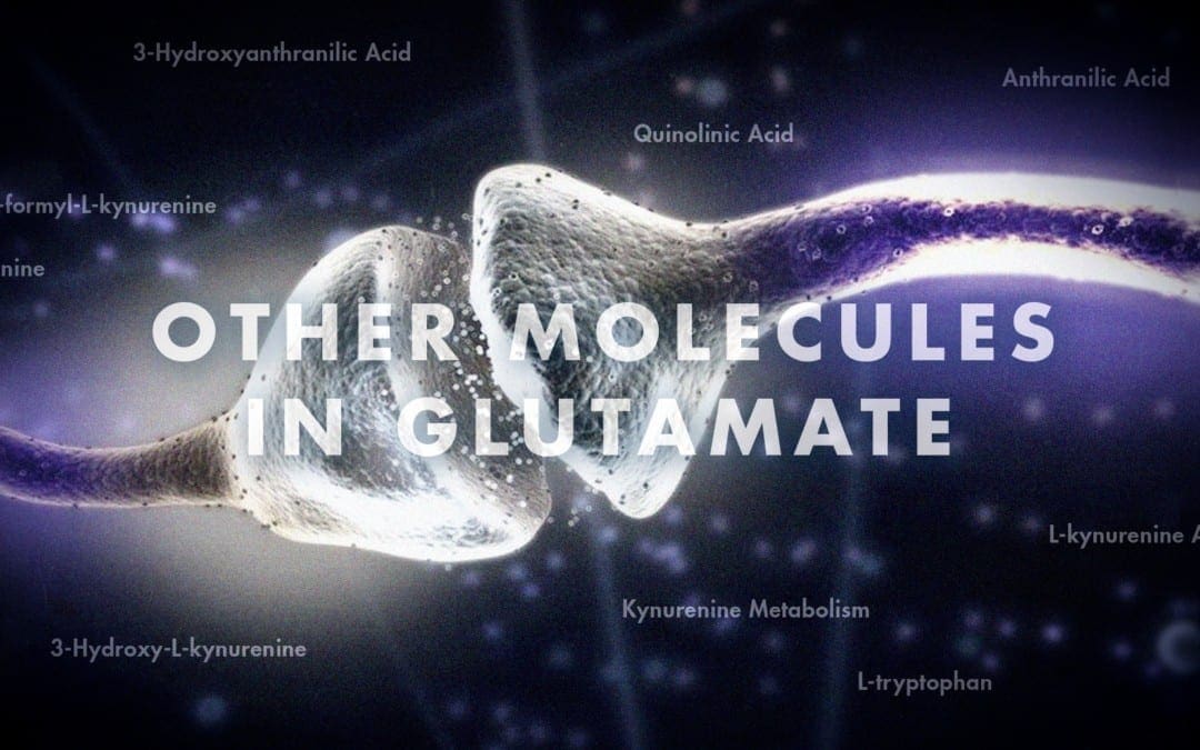 נוירולוגיה תפקודית: מולקולות אחרות בגלוטמט