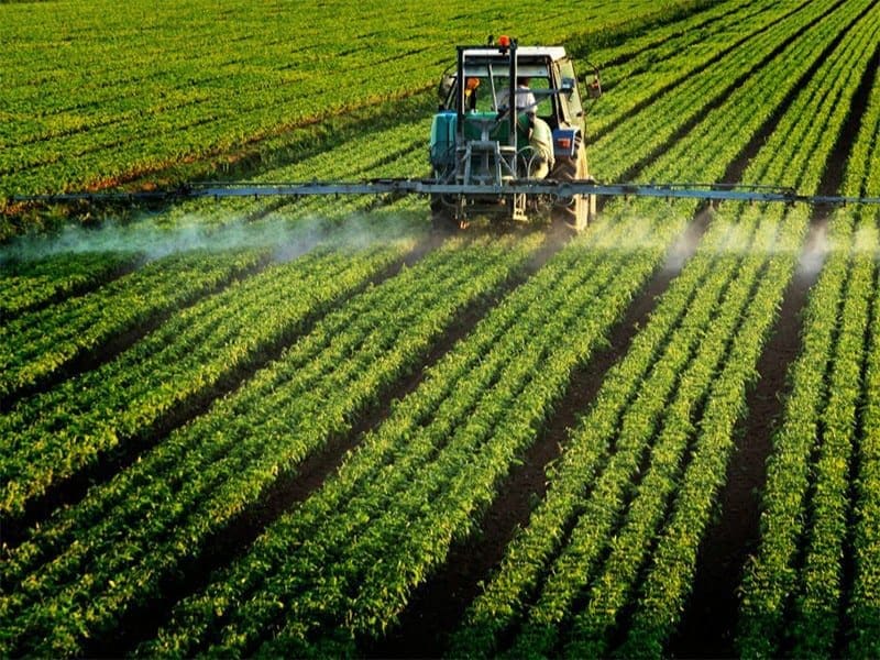 pesticide_ilfede-iStockphoto-800