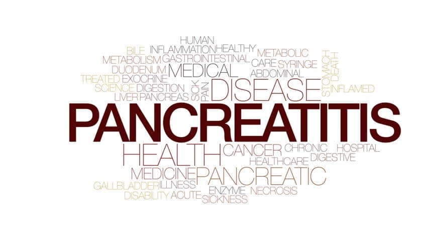 Endocrinologia funzionale: disturbo digestivo del pancreas