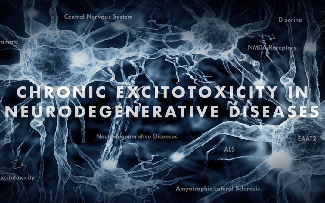 Neurologia funzionale: eccitotossicità cronica nelle malattie neurodegenerative Parte 3