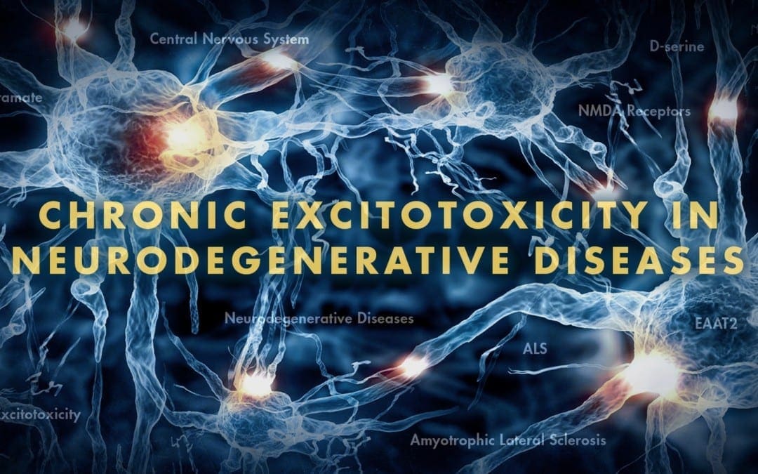 Neurologia funzionale: eccitotossicità cronica nelle malattie neurodegenerative