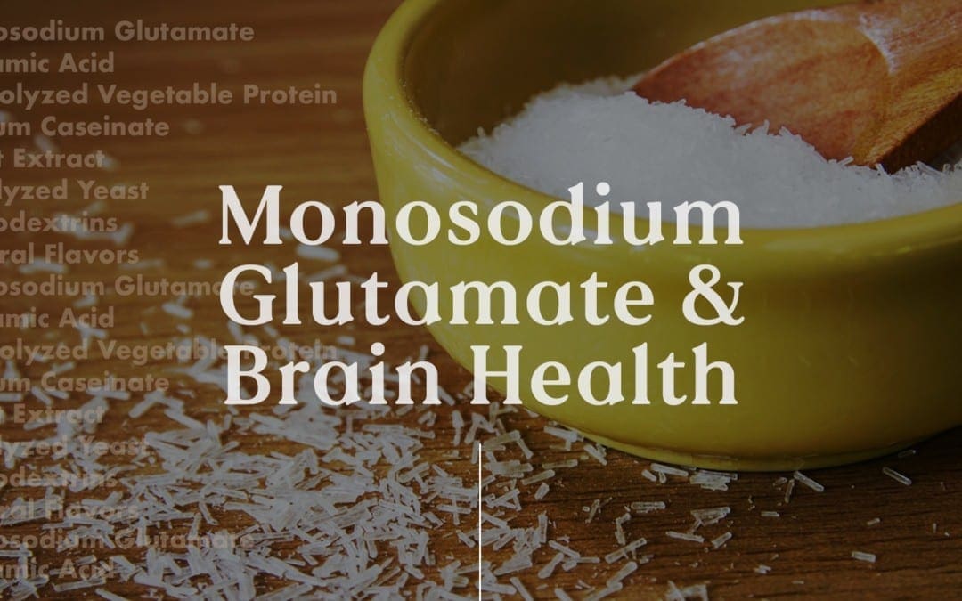 Functional Neurology: Monosodium Glutamate and Brain Health