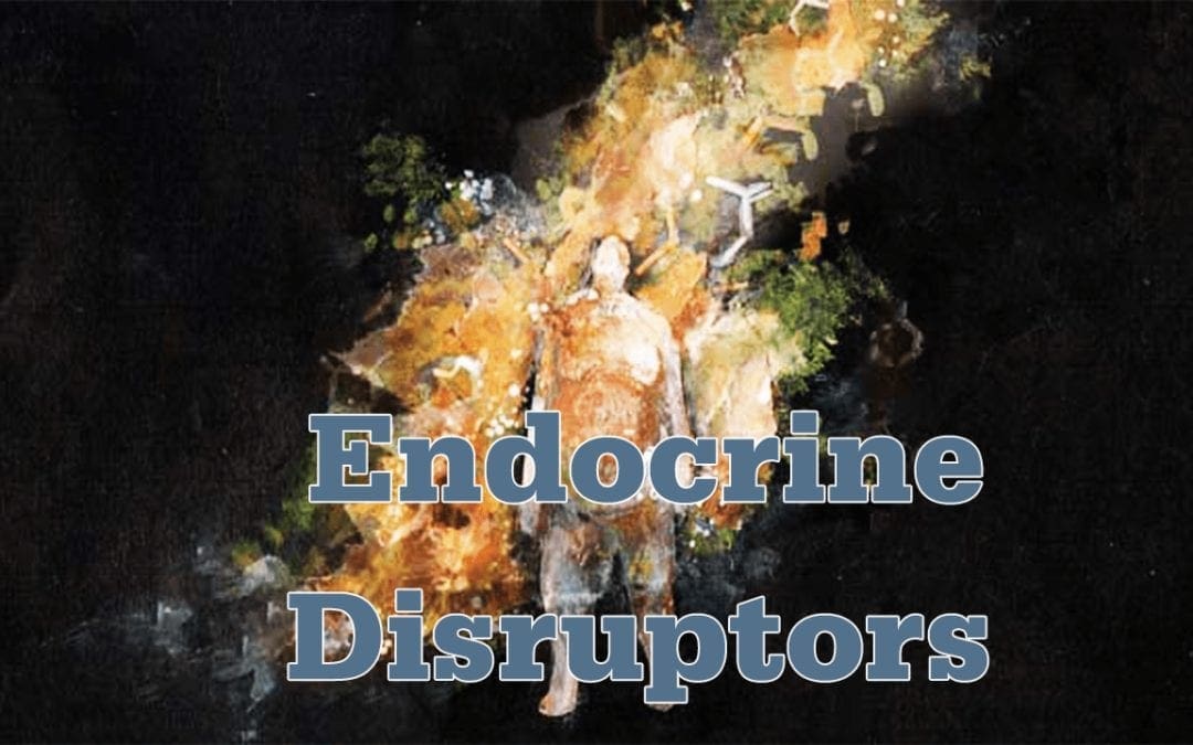Endocrinologia funzionale: interferenti endocrini