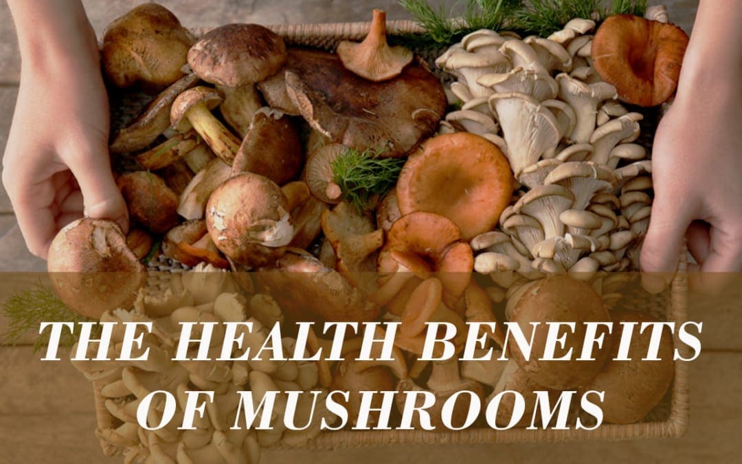 Can Mushrooms Help The Immune System?