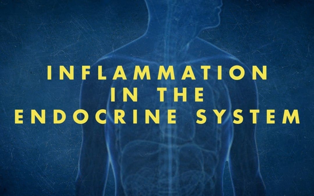 Functional Endocrinology: Inflammation and the Endocrine System