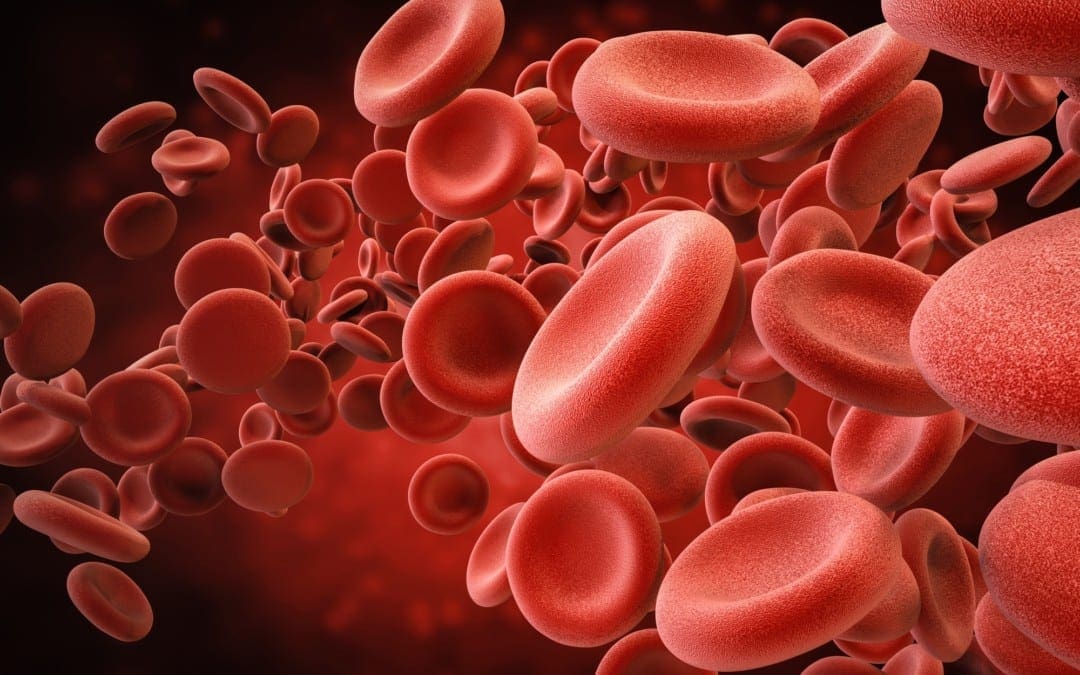 Neuroloxía funcional: Anemia con deficiencia de ferro e saúde cerebral