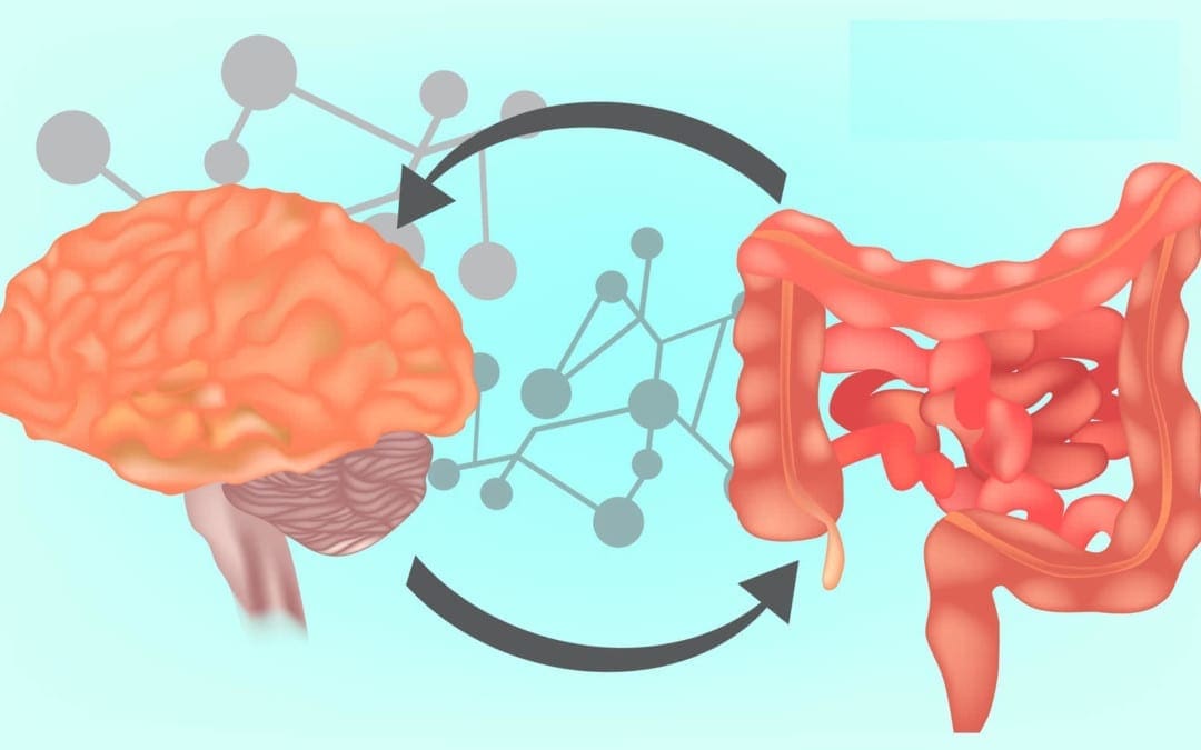 Neurologia funzionale: cos'è l'asse intestino-cervello? | Chiropratico El Paso, TX