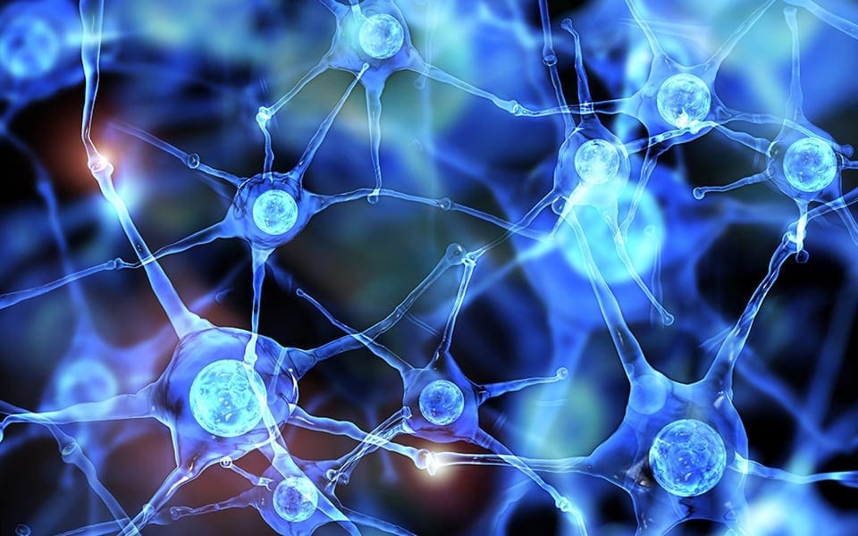 Neurologia funzionale: differenze tra dopamina e serotonina
