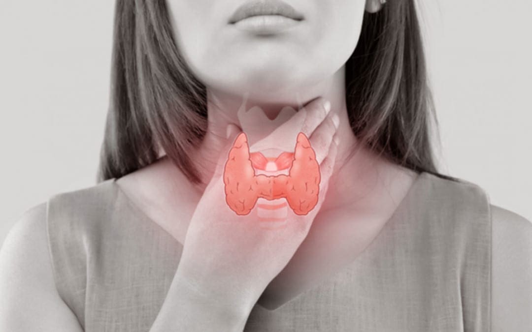 Functional Neurology: Obesity and Thyroid Dysfunction | El Paso, TX Chiropractor