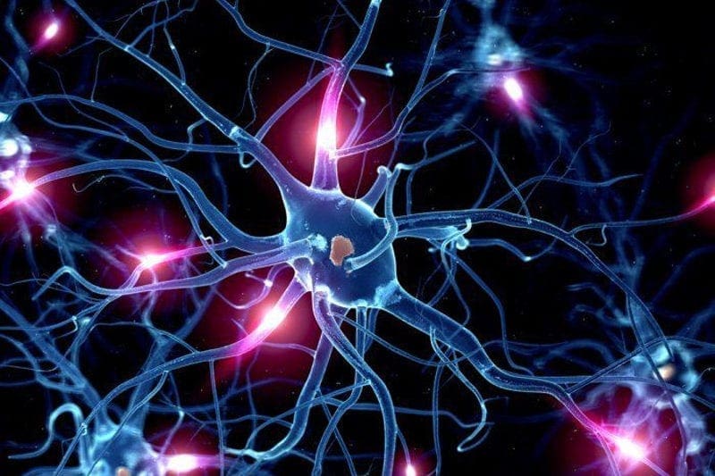 Functional Neurology: Serotonin and Brain Health