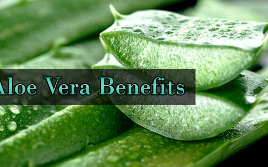 The Amazing Benefits That Aloe Vera Has
